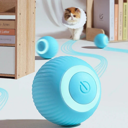 Electric Toy for Kitten