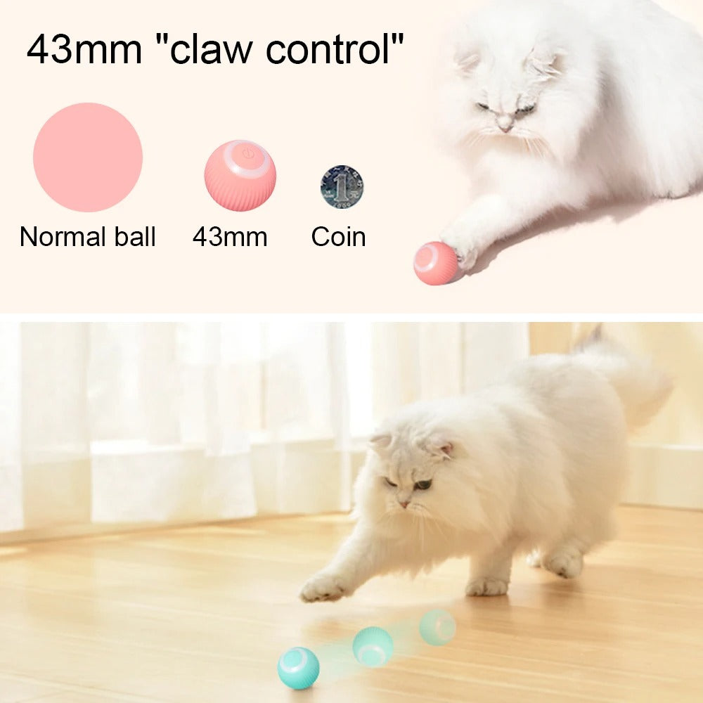 Electric Toy for Kitten